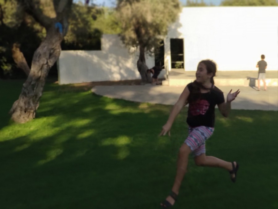 פעילויות קיץ 2020 - טיסנים בחורשה