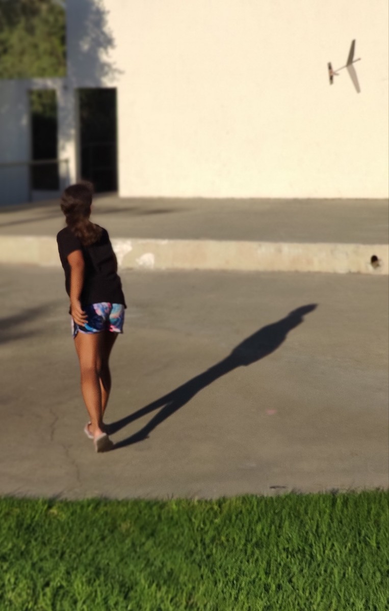 פעילויות קיץ 2020 - טיסנים בחורשה