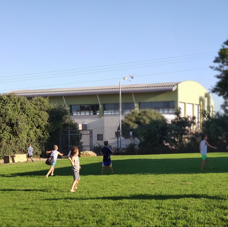 פעילויות קיץ 2020 - טיסנים בחורשה