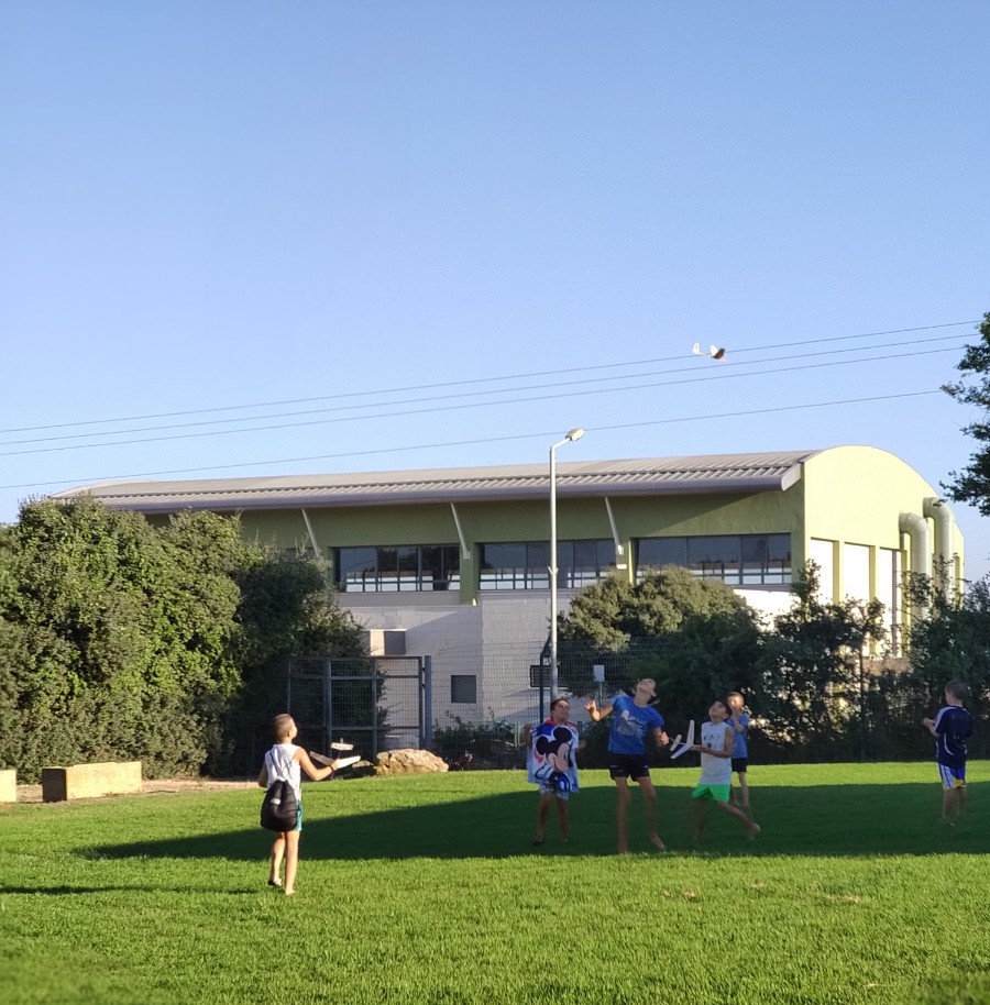 פעילויות קיץ 2020 - טיסנים בחורשה