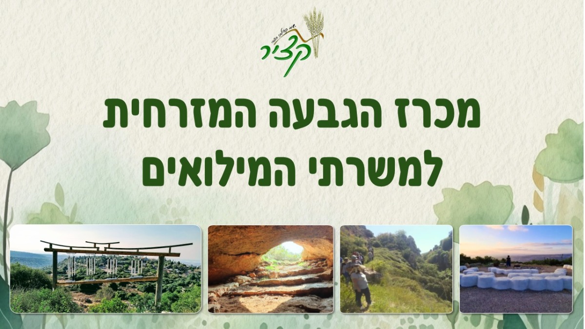 מכרז הגבעה המזרחית למשרתי המילואים