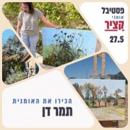 תמר דן הדגן 8